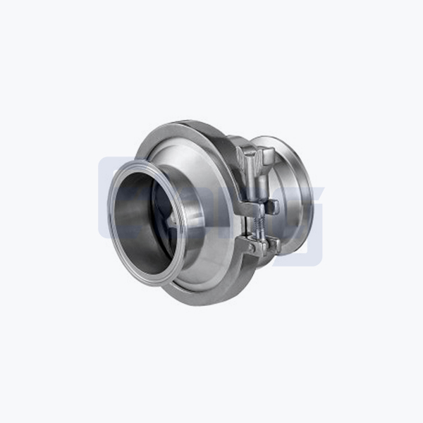 SANITARY-CHECK VALVE