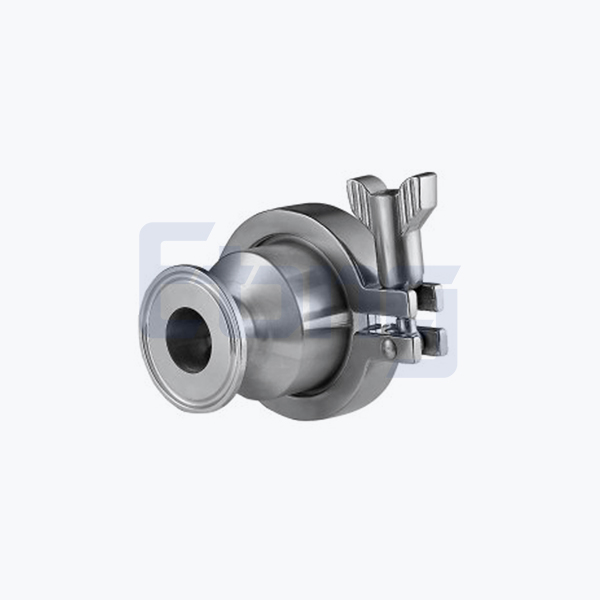 SANITARY-CHECK VALVE