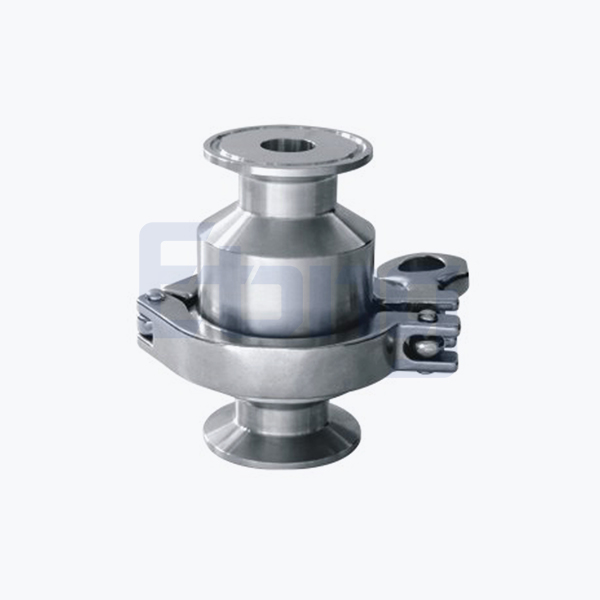 SANITARY-CHECK VALVE